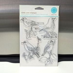 Brand New Martha Stewart Bird Stamps. 4 Stamps in Total. These Aren't Owl Stamps